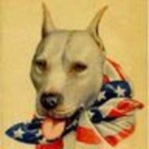 Meet your Posher, Darci